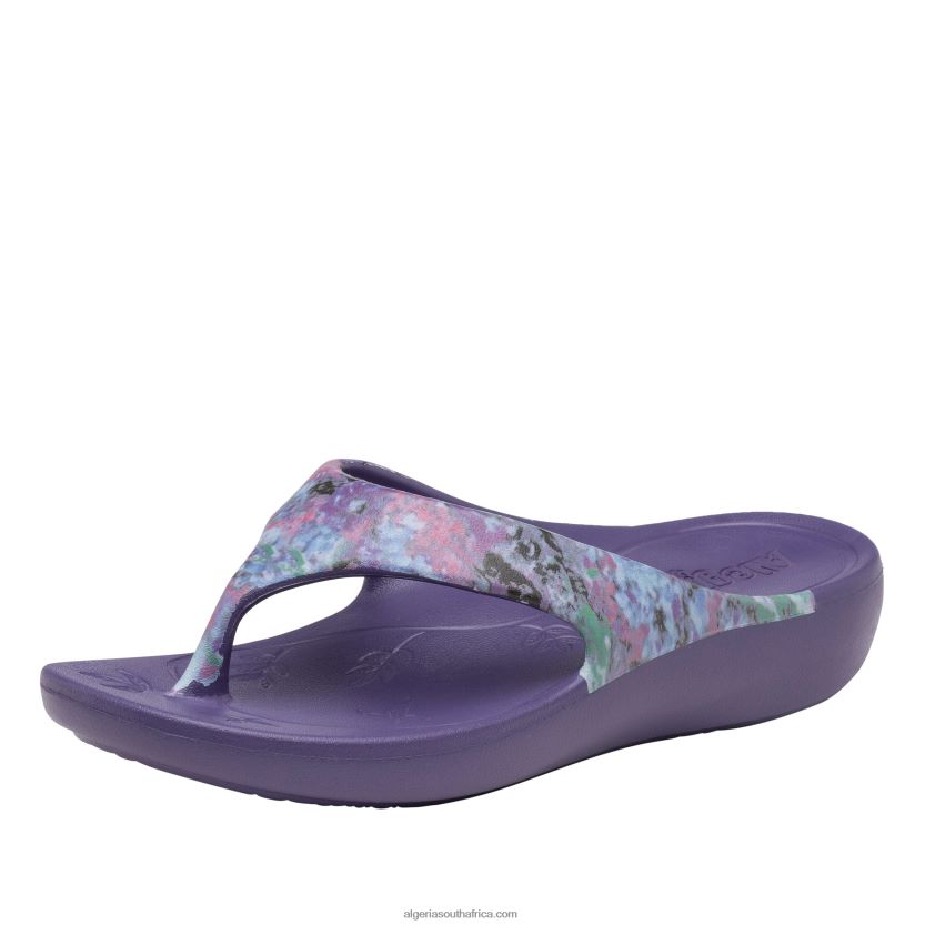 Ode Itchycoo Grey Sandal 2VV46J25Alegria