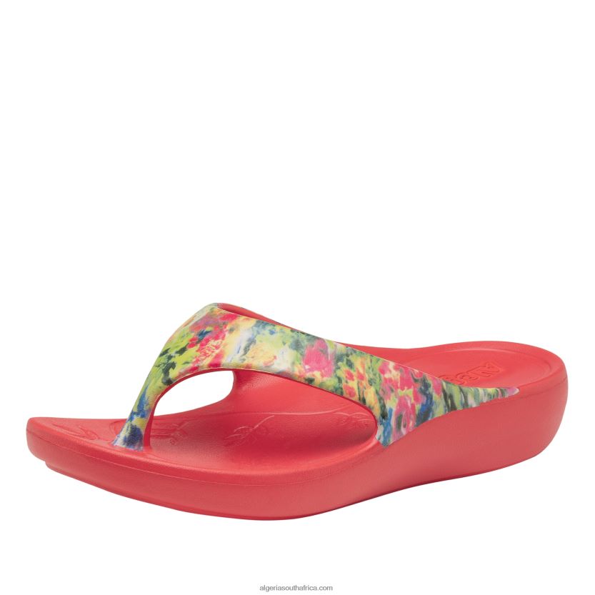 Ode Itchycoo Sandal 2VV46J26Alegria