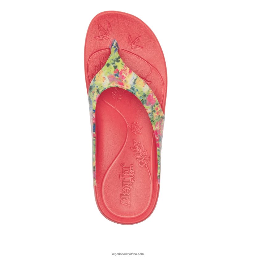 Ode Itchycoo Sandal 2VV46J26Alegria