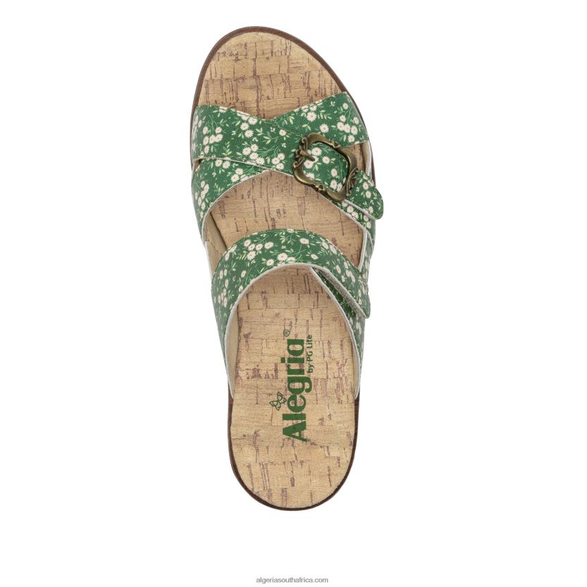 Sierra Green Acres Sandal 2VV46J219Alegria